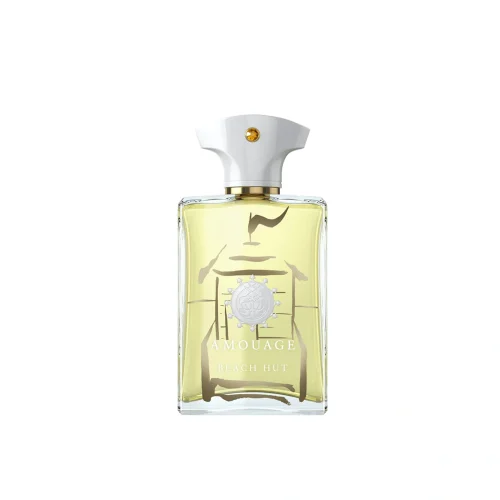 ادکلن آمواج بیچ هات 100 میل مردانه Amouage Beach Hut Man